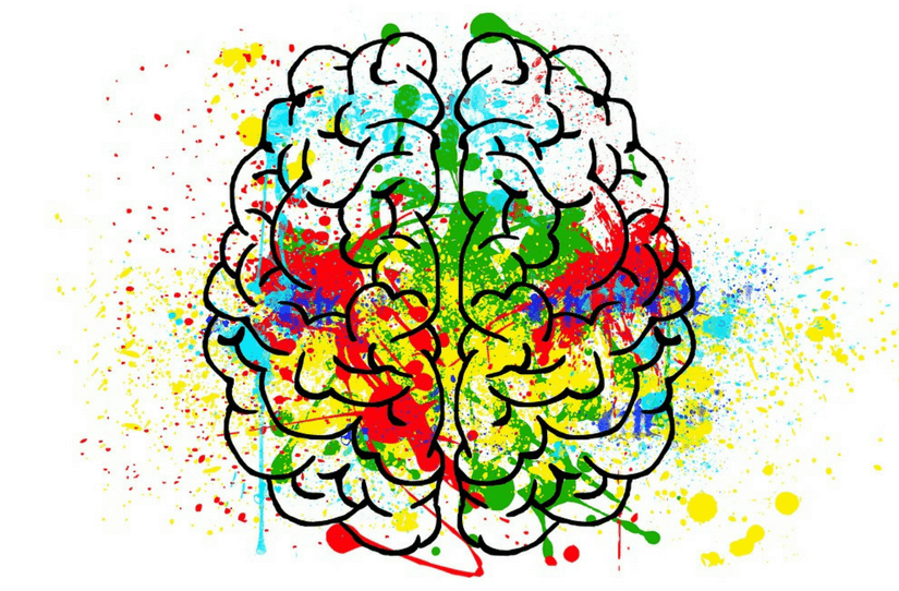 O cérebro pensativo e o cérebro reflexivo na Nova Medicina Germânica