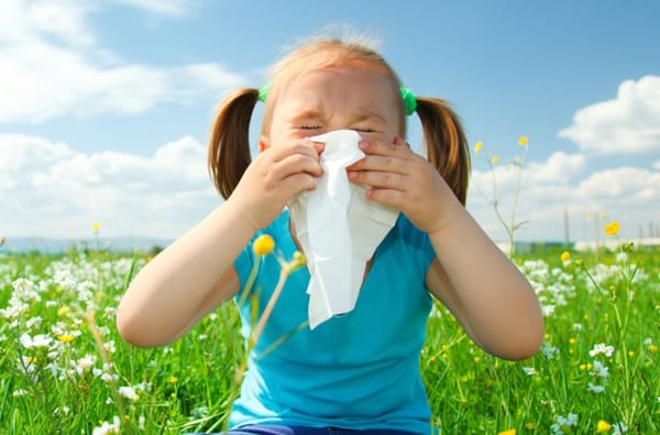 Como curar alergias?