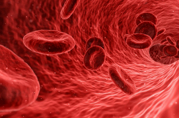 Anemia sob a visão da Medicina Germânica